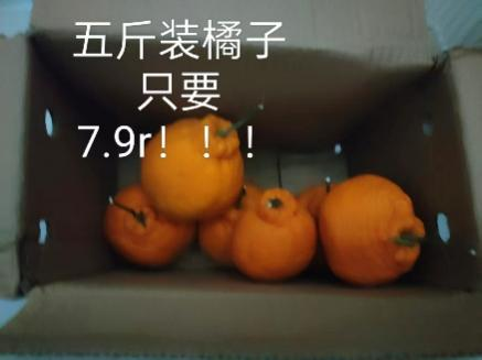8cf819c2ae6c25486727e6512b0c7394.png